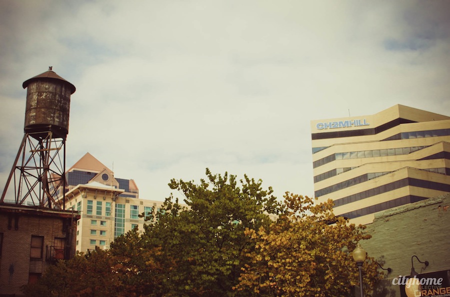 Salt Lake City Water Towers