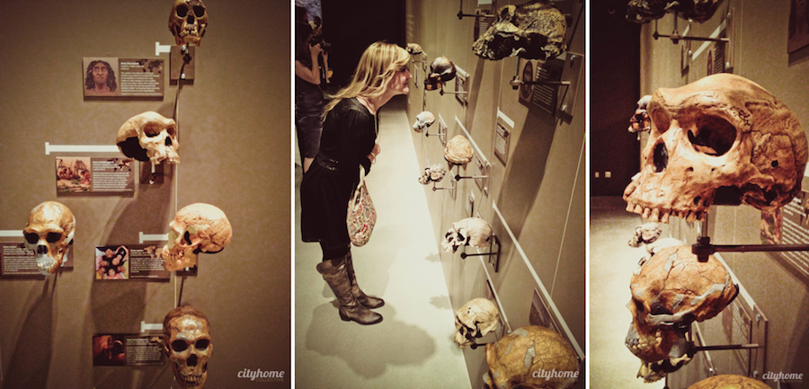 Utah Museum of Natural History - Salt Lake City