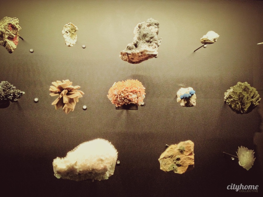 Utah Museum of Natural History - Salt Lake City