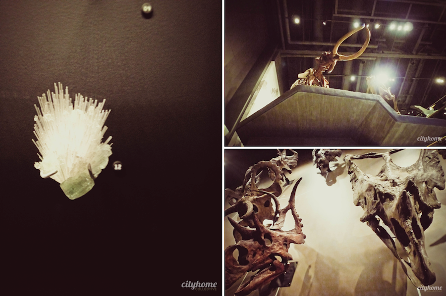 Utah Museum of Natural History - Salt Lake City
