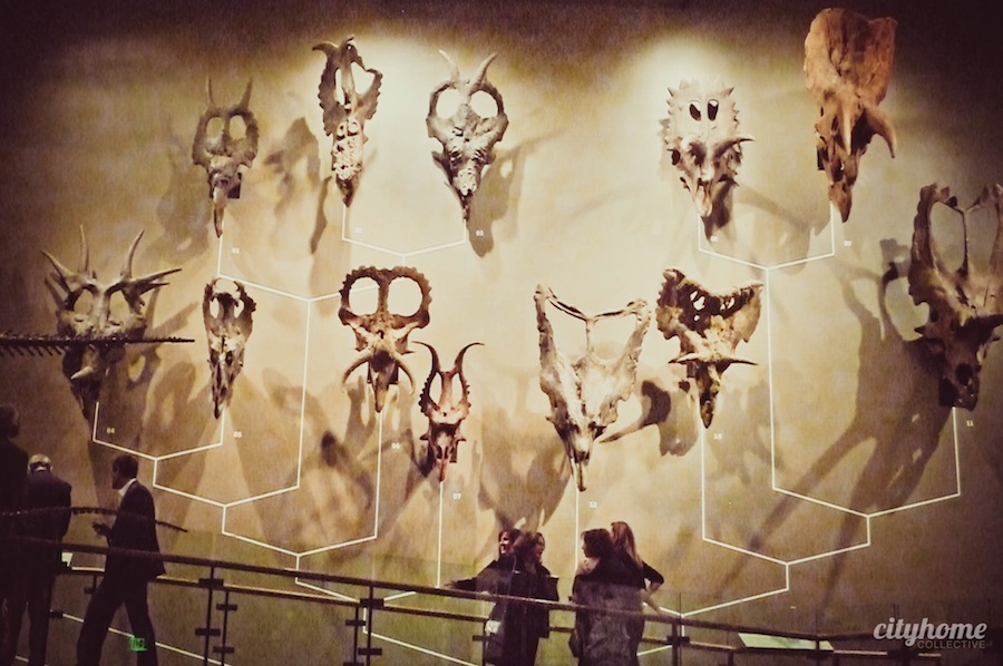 Utah Museum of Natural History - Salt Lake City
