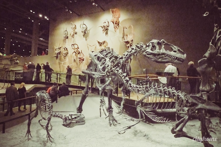 Utah Museum of Natural History - Salt Lake City