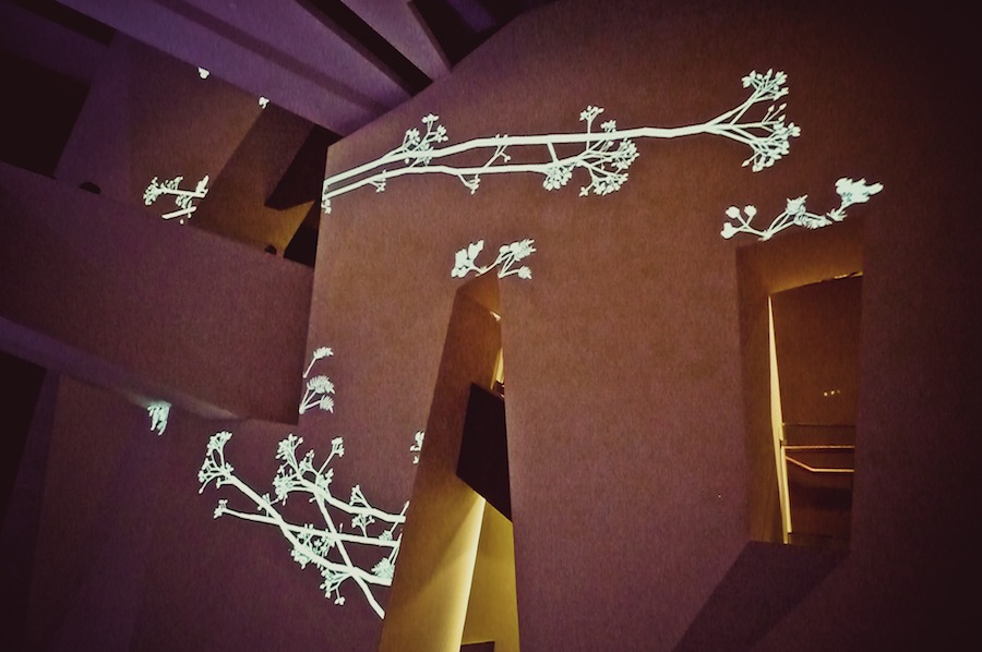 Utah Museum of Natural History - Salt Lake City