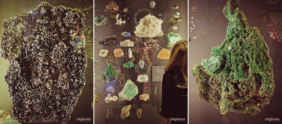 Utah Museum of Natural History - Salt Lake City