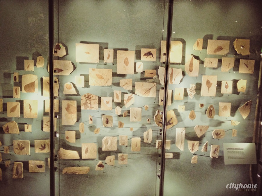 Utah Museum of Natural History - Salt Lake City