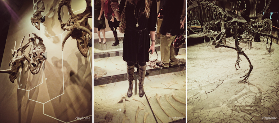 Utah Museum of Natural History - Salt Lake City