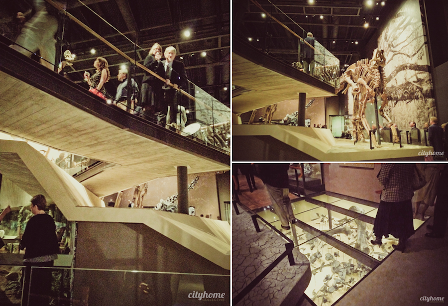 Utah Museum of Natural History - Salt Lake City