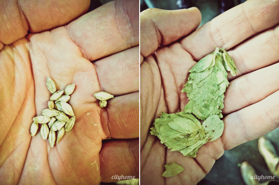 Salt Lake City local Beer - Epic Brewery