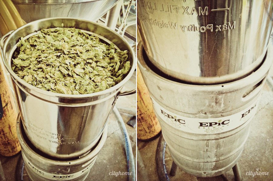 Salt Lake City local Beer - Epic Brewery