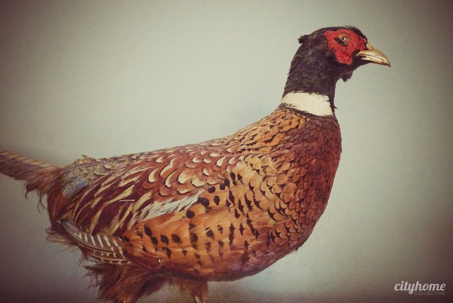 Maryland Condos - Interior Design Salt Lake