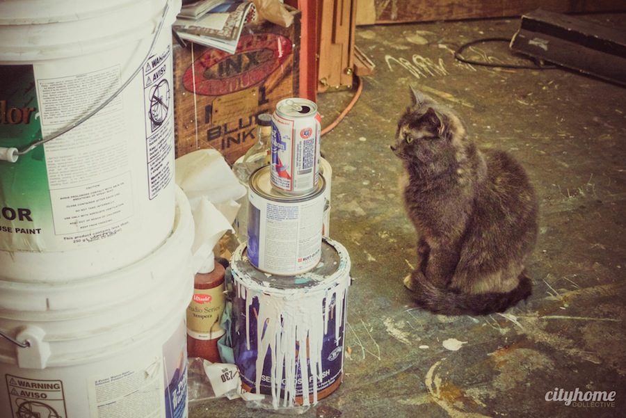 Trant Alvey - Salt Lake Multimedia Artist