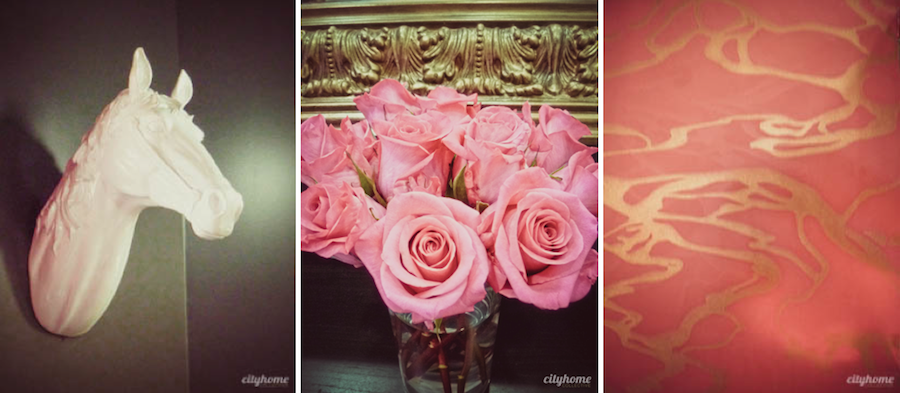 Studio 101 cityhomeCOLLECTIVE 4