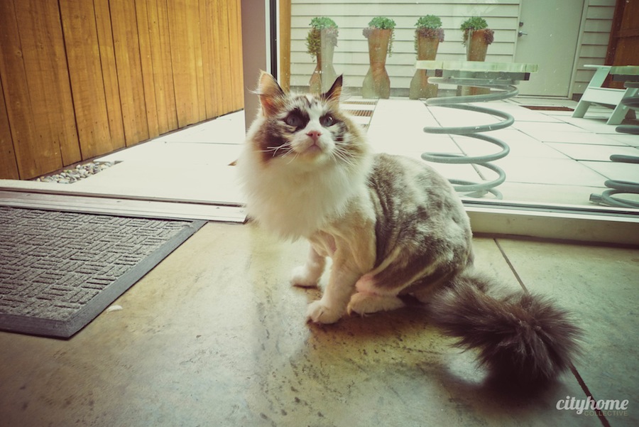 Salt Lake City Locals - Mr Jesse Walker - D.J.