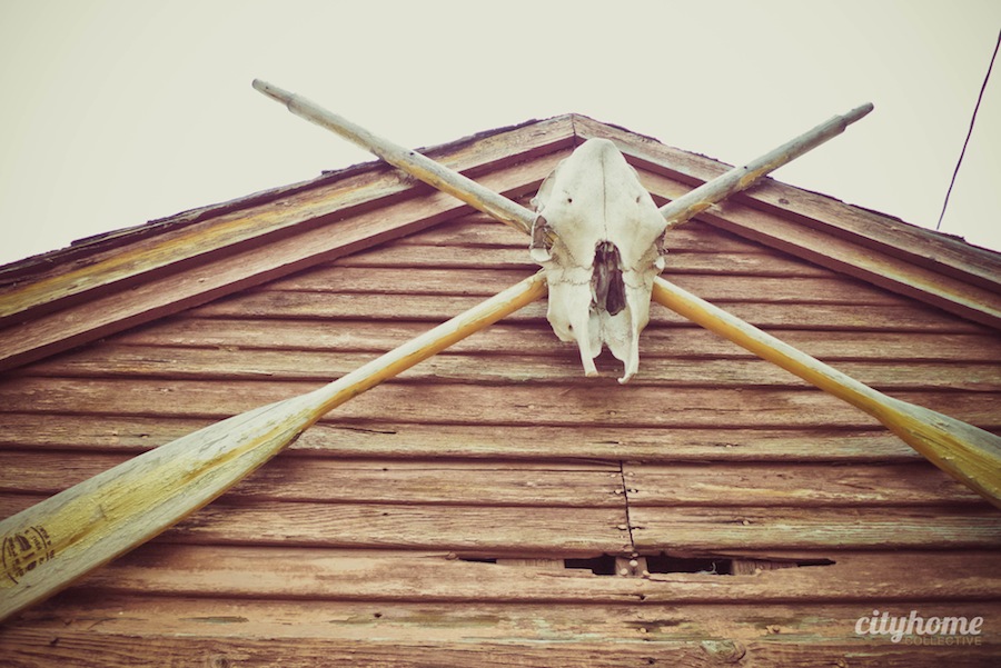 Salt Lake Local Artist - Dave Borba - Multi Media