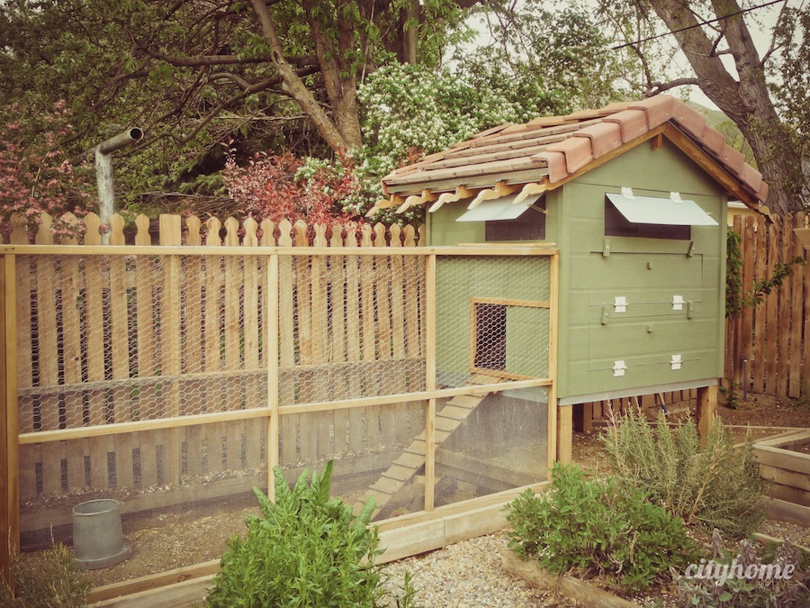 Salt Lake City Urban Farming Chicken Coops cityhomeCOLLECTIVE