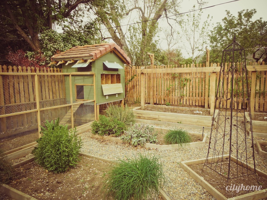 Salt Lake City Chicken Coup | cityhomeCOLLECTIVE