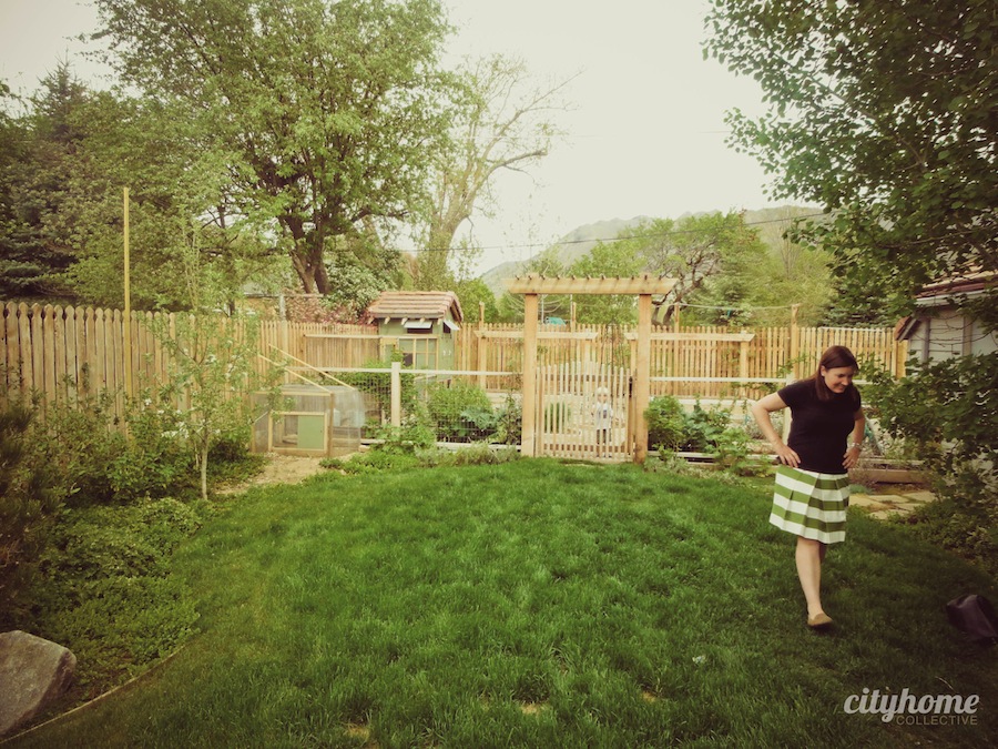 Salt Lake City Chicken Coup | cityhomeCOLLECTIVE