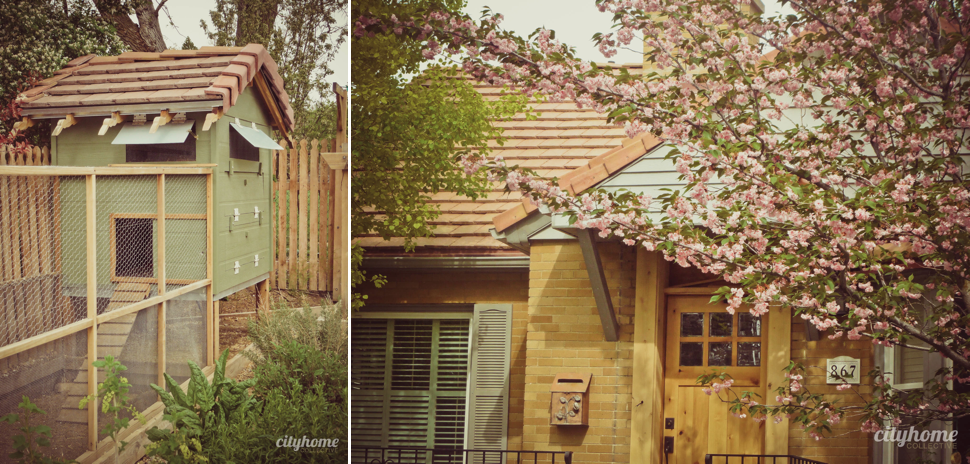 Salt Lake City Chicken Coup | Urban Chickens