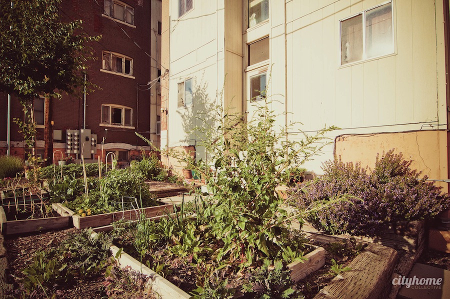 Salt Lake City Condo For Sale | samson altadena | Downtown