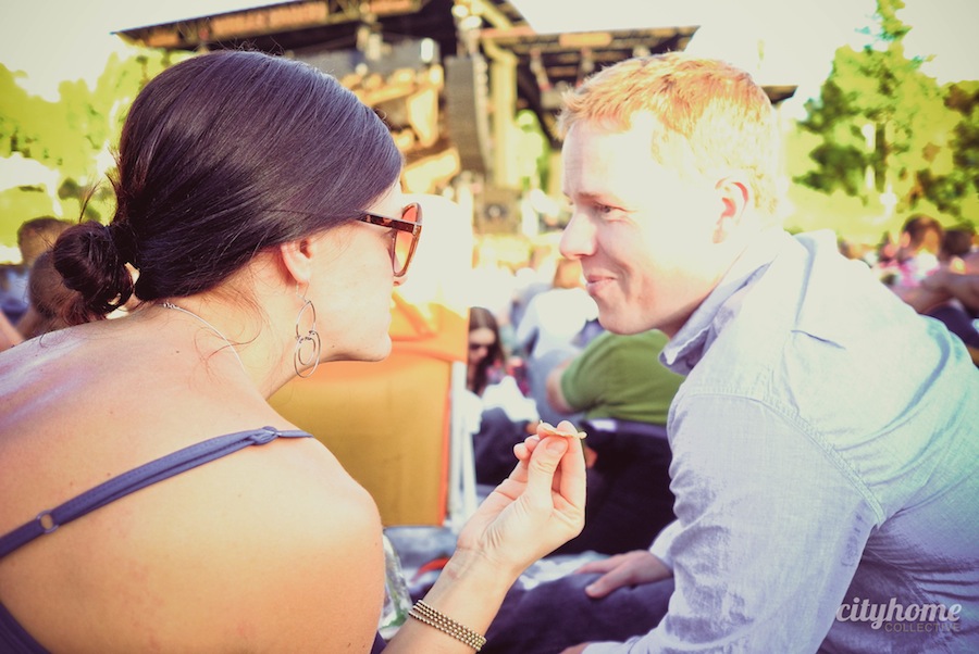 Salt Lake City Field Notes- Summer Concert Theory