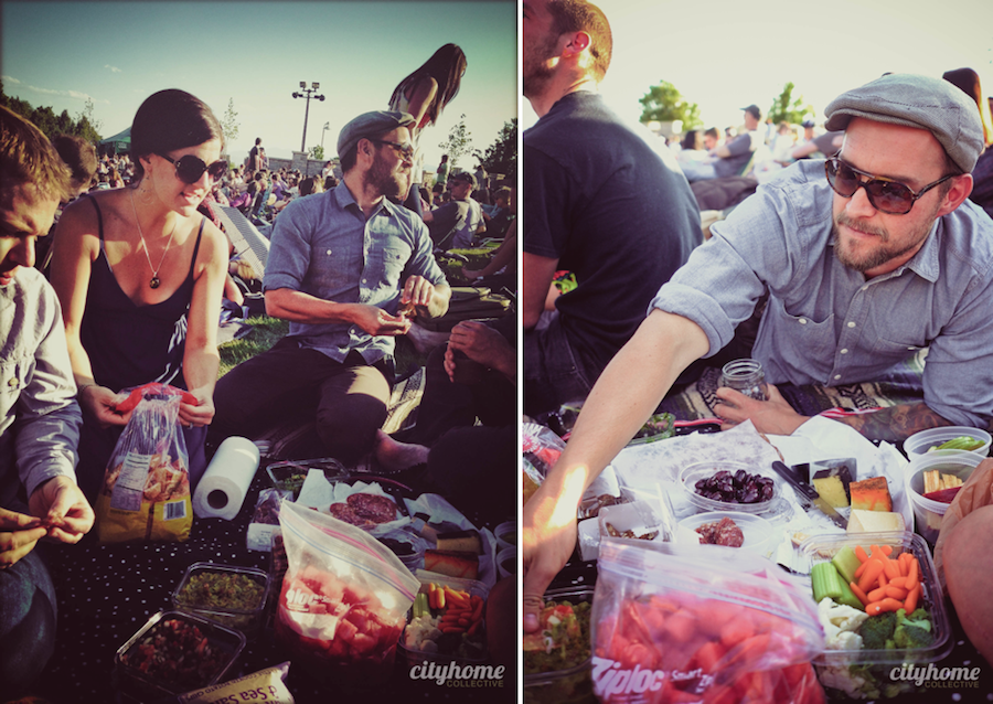 Salt Lake City Field Notes- Summer Concert Theory