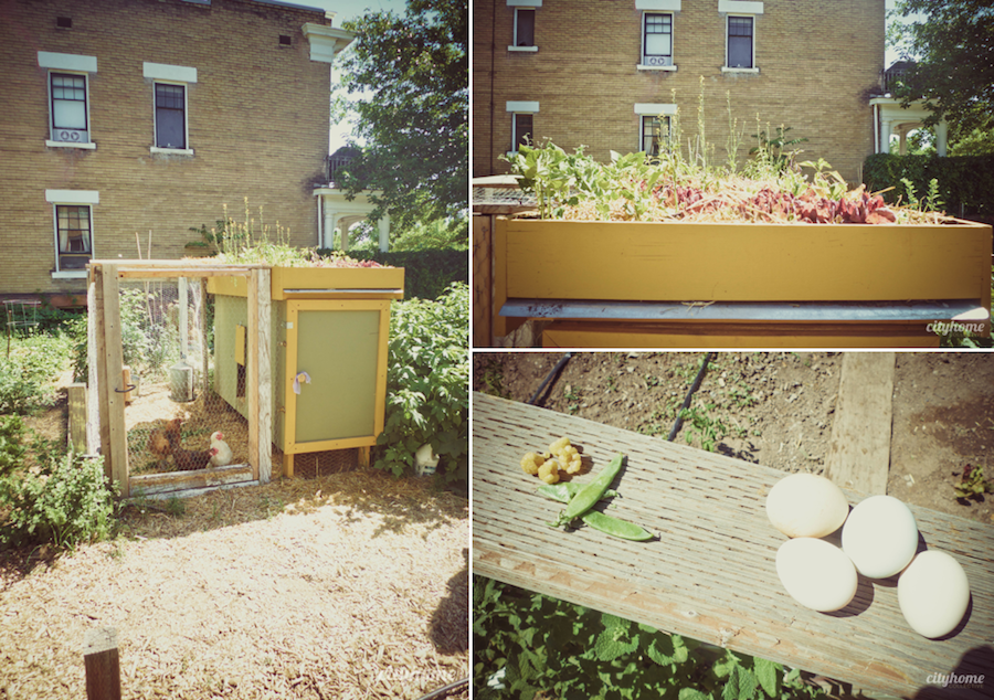 Wasatch Community Gardens | 7th Tour de Coop