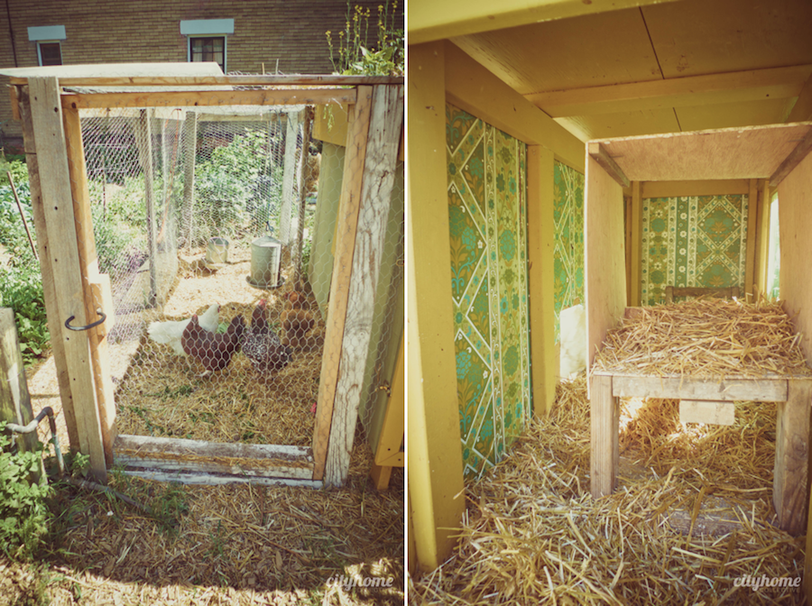 Wasatch Community Gardens | 7th Tour de Coop