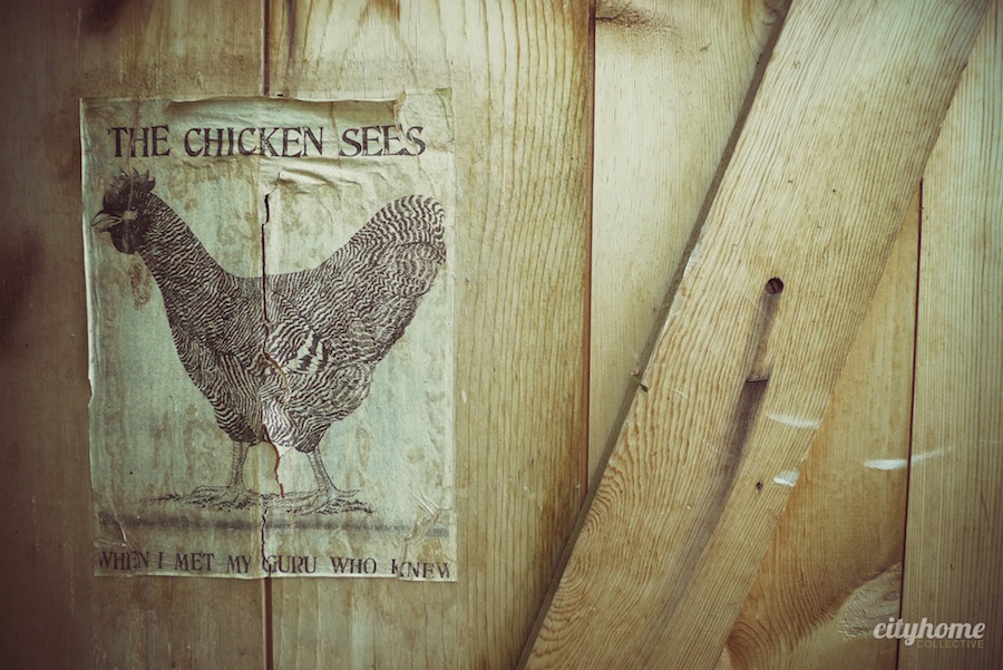 Wasatch Community Gardens | cityhome Clients Brit and Jimmy