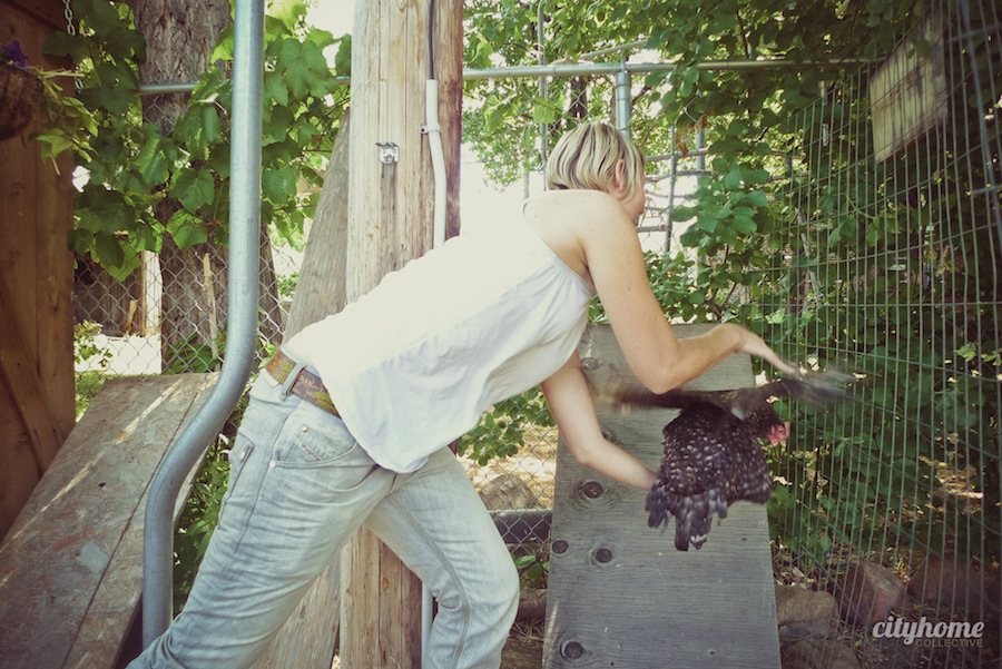 Wasatch Community Gardens | cityhome Clients Brit and Jimmy