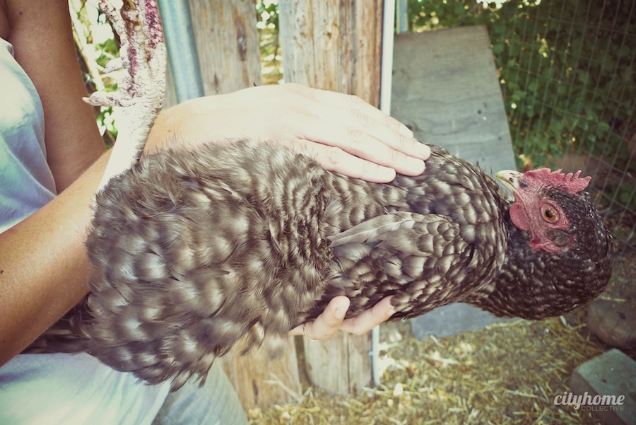 Wasatch Community Gardens | cityhome Clients Brit and Jimmy