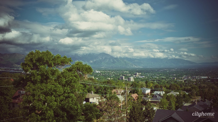 cityhomeCOLLECTIVE Clients Mr & Mrs House