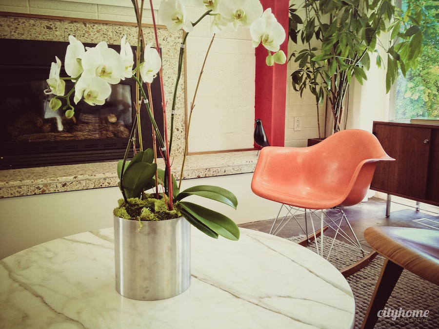 cityhomeCOLLECTIVE Clients | Life in Your Space | The Bates