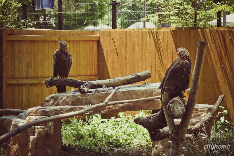 Salt Lake City Culture | The Tracy Aviary | Liberty Park