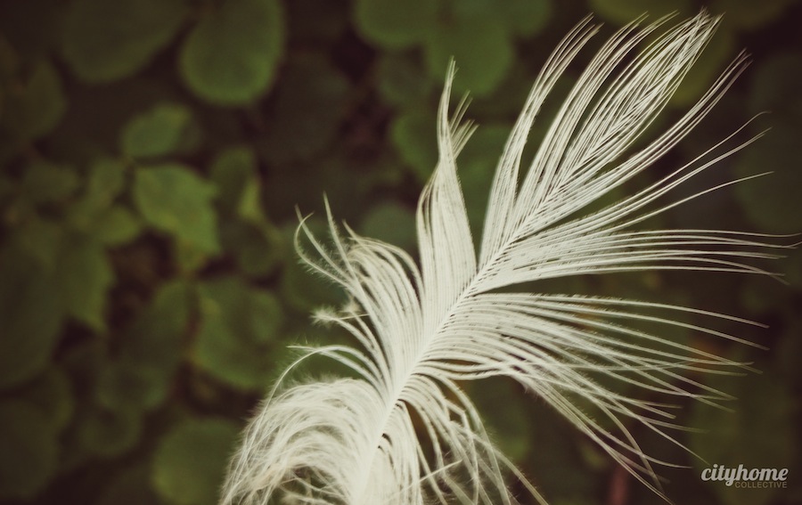 Salt Lake City Culture | The Tracy Aviary | Liberty Park