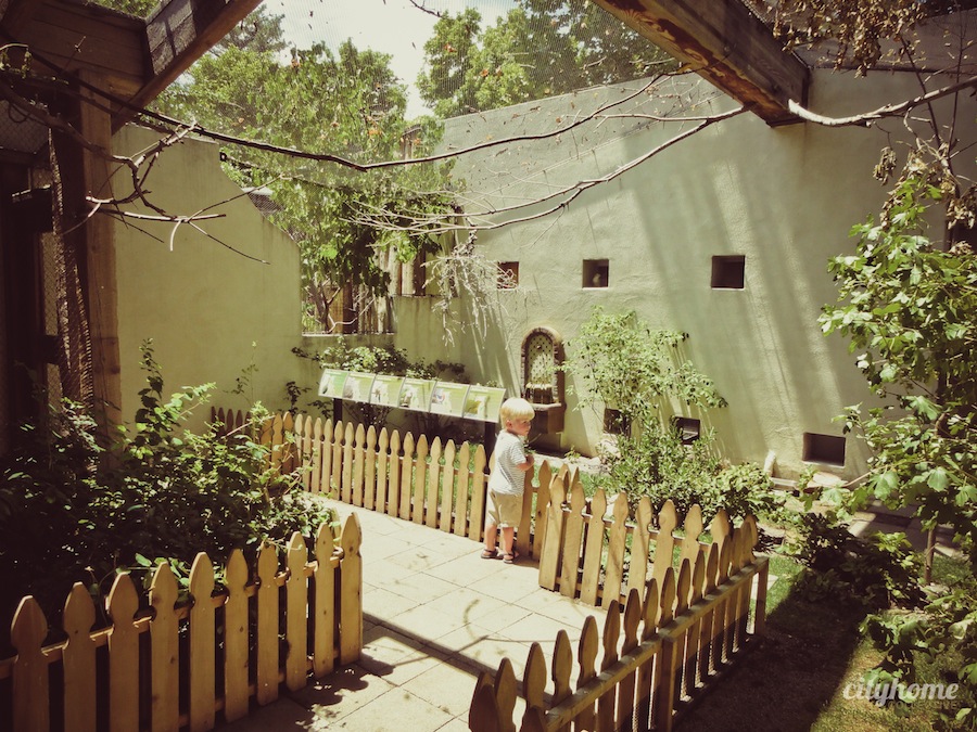 Salt Lake City Culture | The Tracy Aviary | Liberty Park