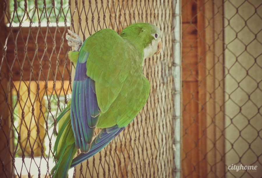 Salt Lake City Culture | The Tracy Aviary | Liberty Park