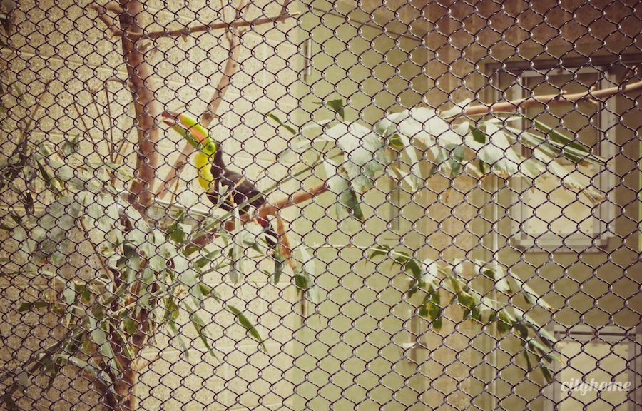 Salt Lake City Culture | The Tracy Aviary | Liberty Park