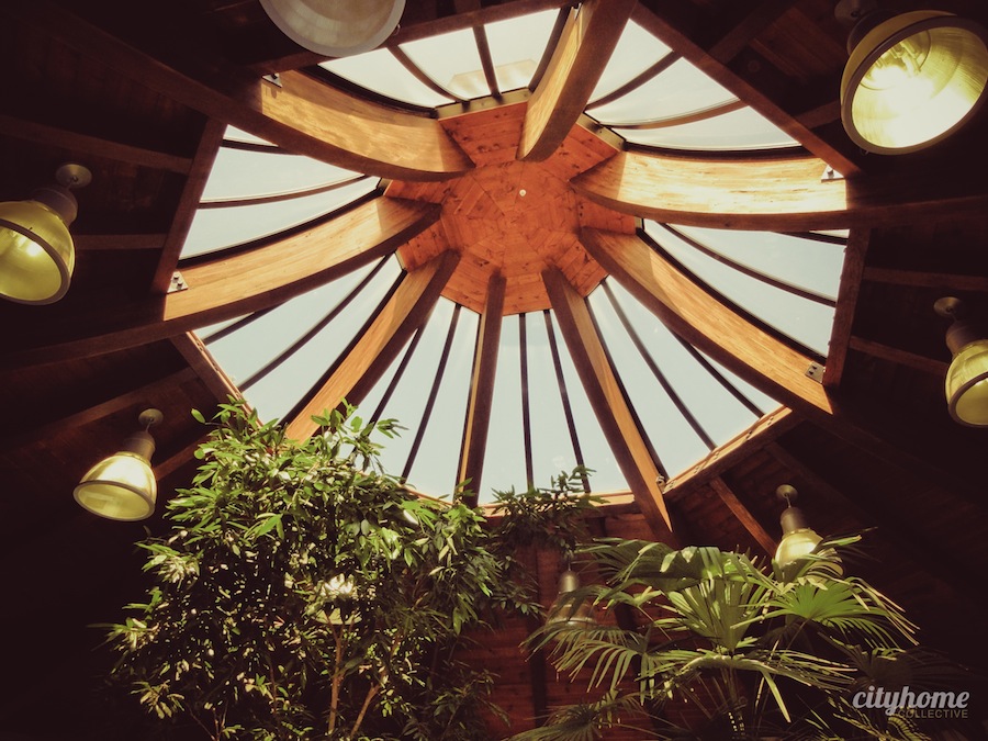 Salt Lake City Culture | The Tracy Aviary | Liberty Park