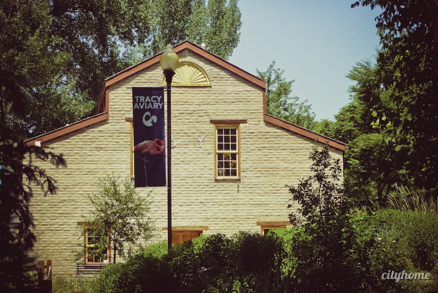 Salt Lake City Culture | The Tracy Aviary | Liberty Park