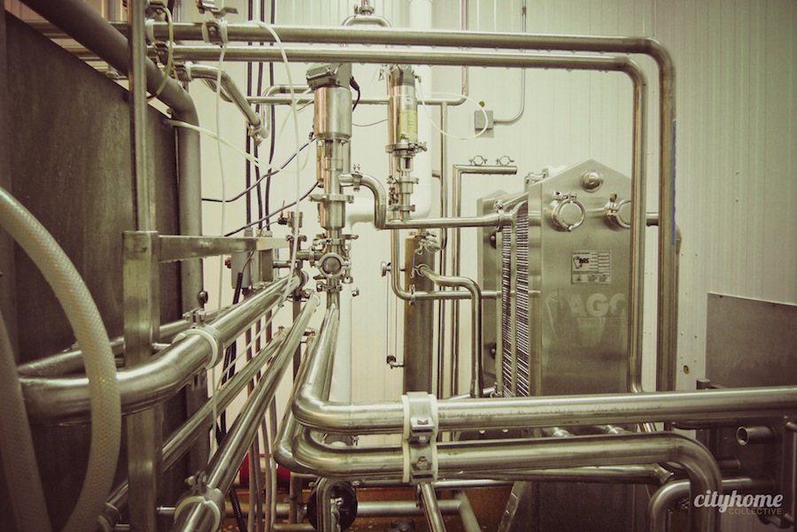 Salt Lake City Local Business | Beehive Artisan Cheese-13