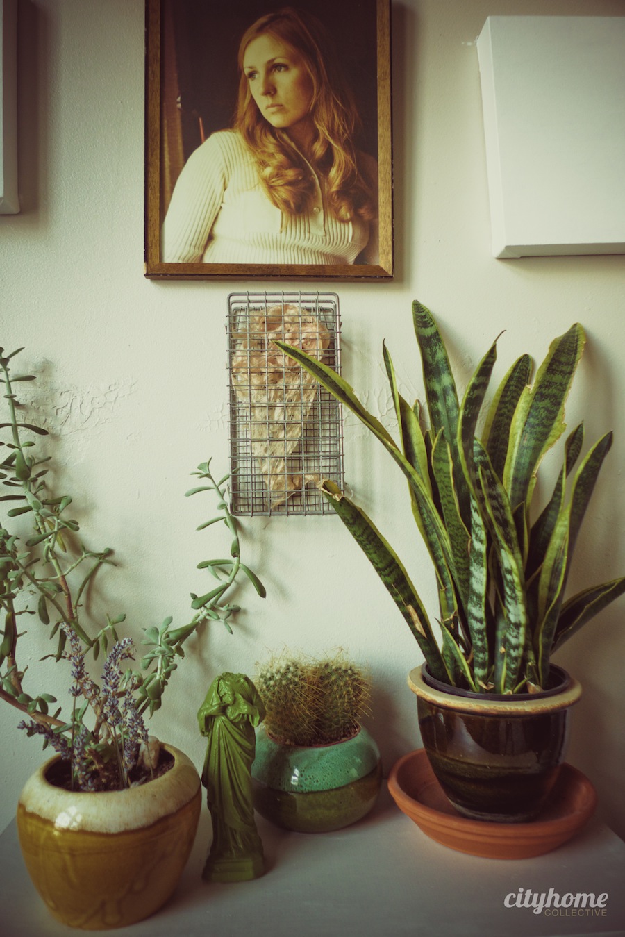 Salt Lake City Locals | Brian Patterson | Artist-14