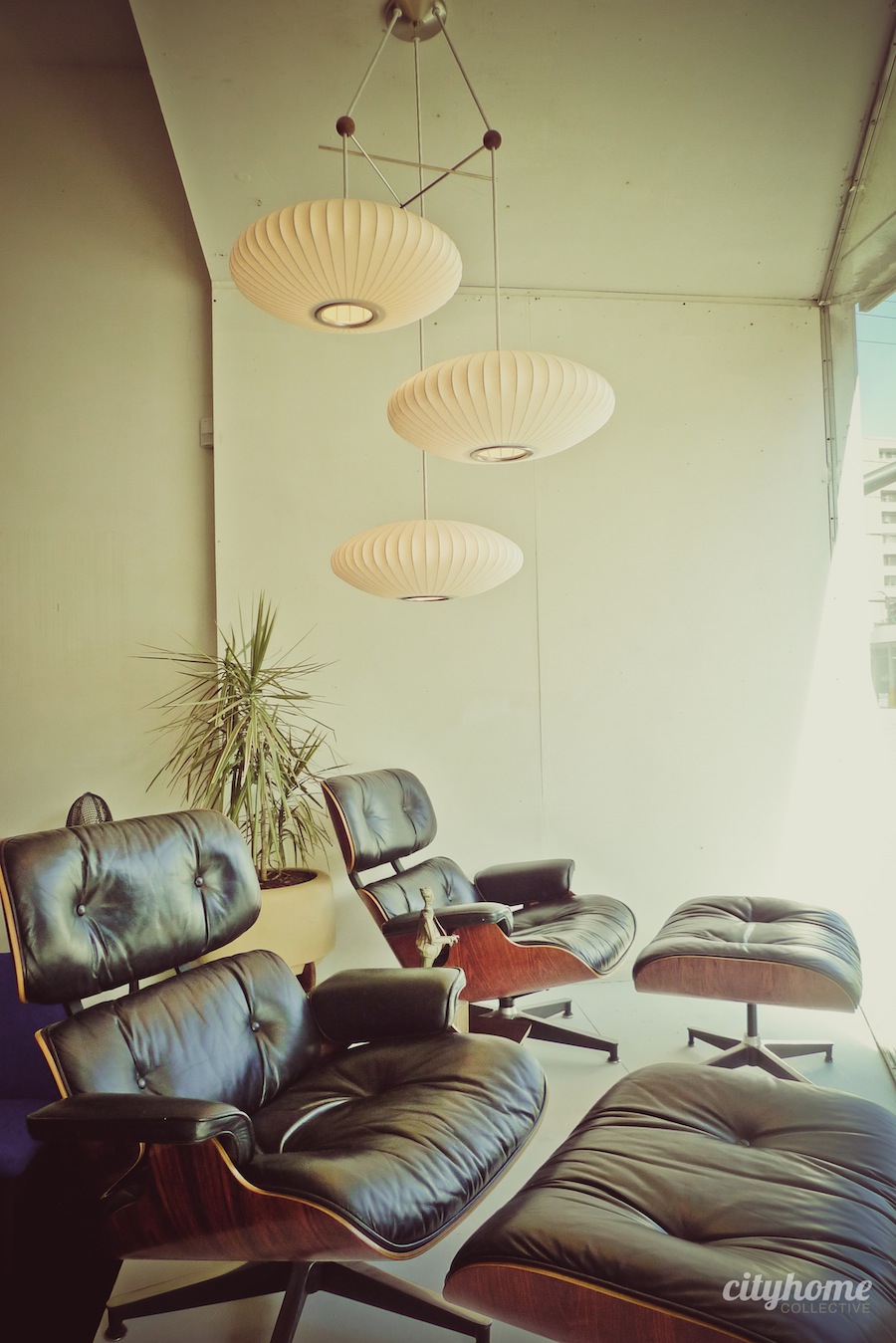 Salt Lake City Mid-Century Furniture | The Green Ant Addition-9