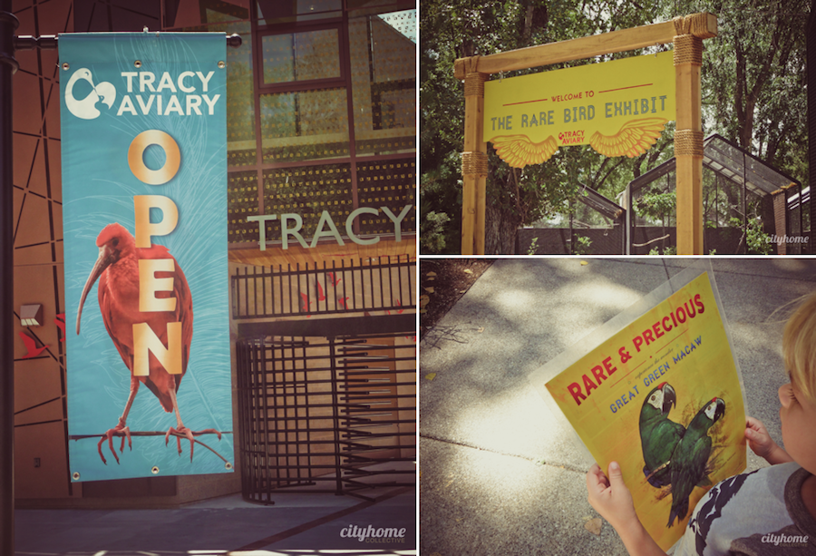 Salt Lake City Culture | The Tracy Aviary | Liberty Park