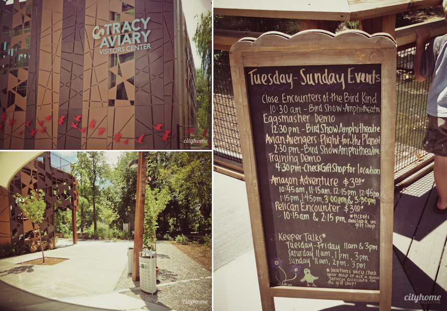 Salt Lake City Culture | The Tracy Aviary | Liberty Park