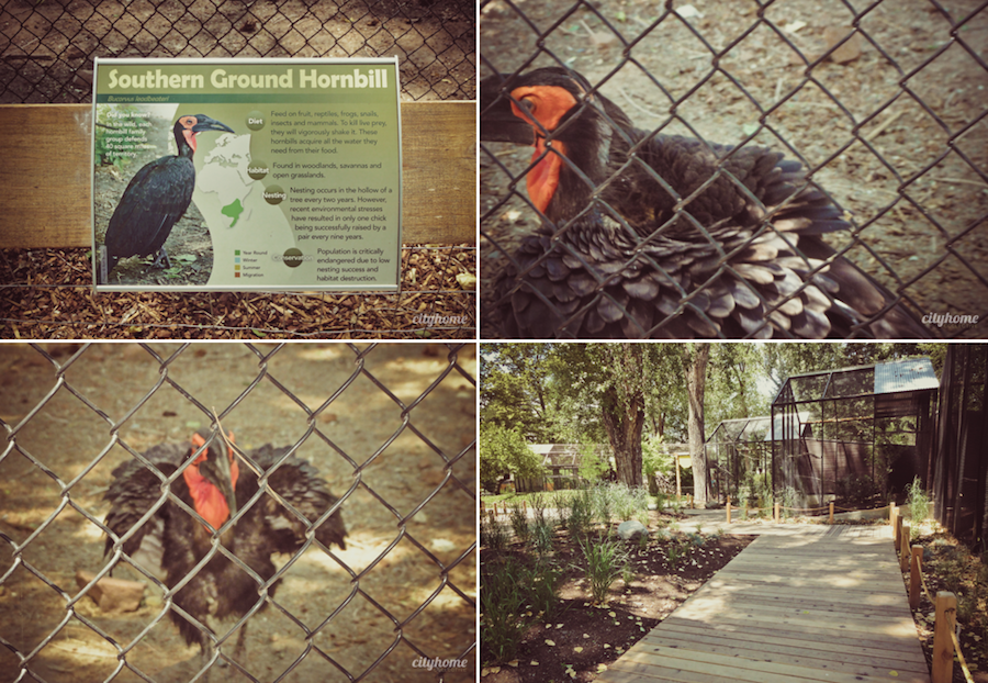Salt Lake City Culture | The Tracy Aviary | Liberty Park