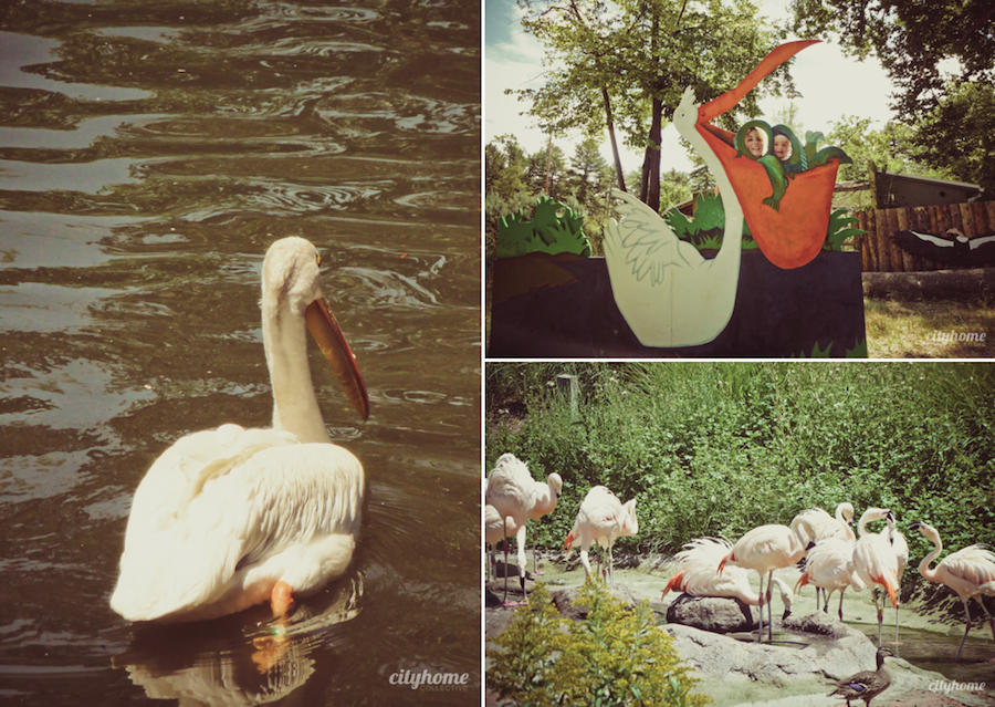 Salt Lake City Culture | The Tracy Aviary | Liberty Park