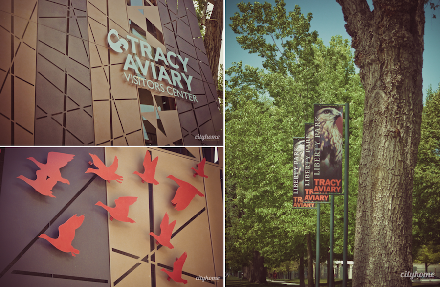 Salt Lake City Culture | The Tracy Aviary | Liberty Park