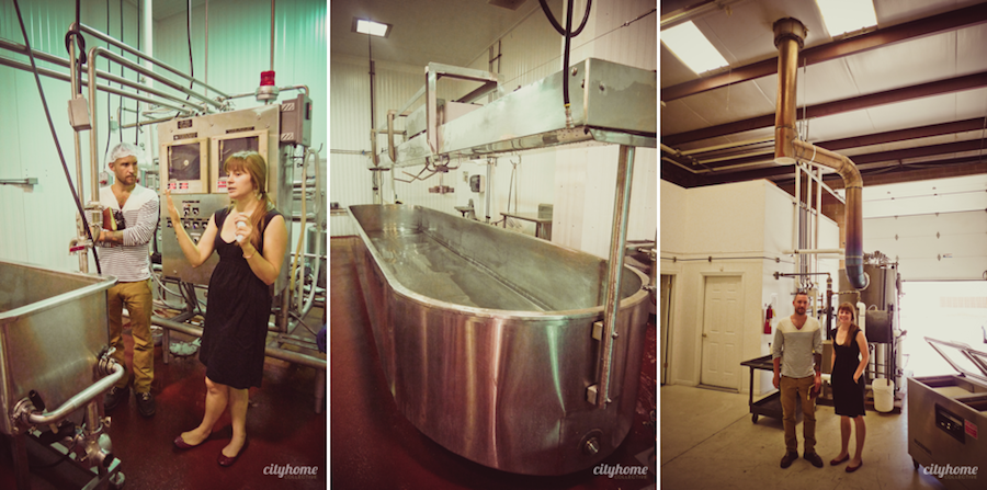 Salt Lake City Local Business | Beehive Artisan Cheese-44