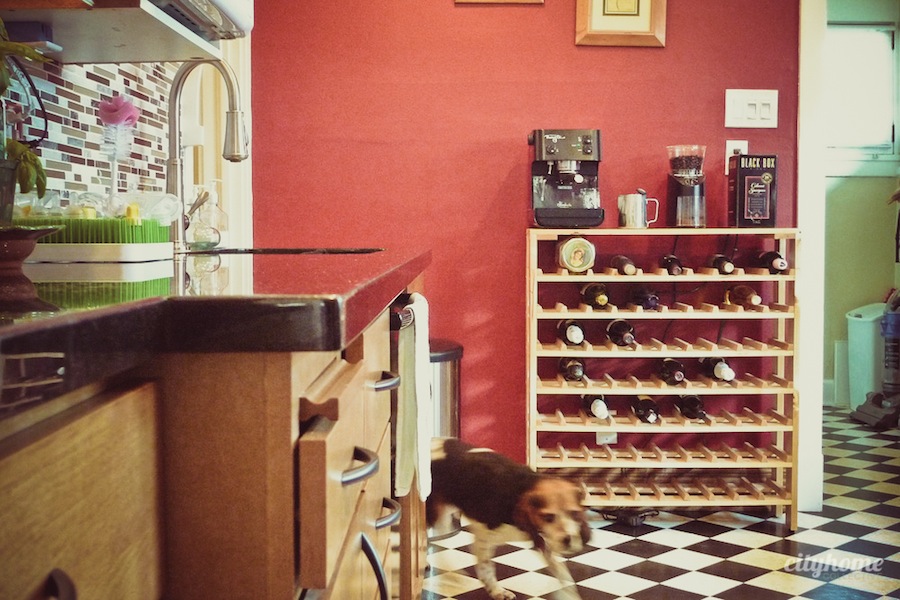 Salt Lake City Home for Sale | Life in Your Space-2