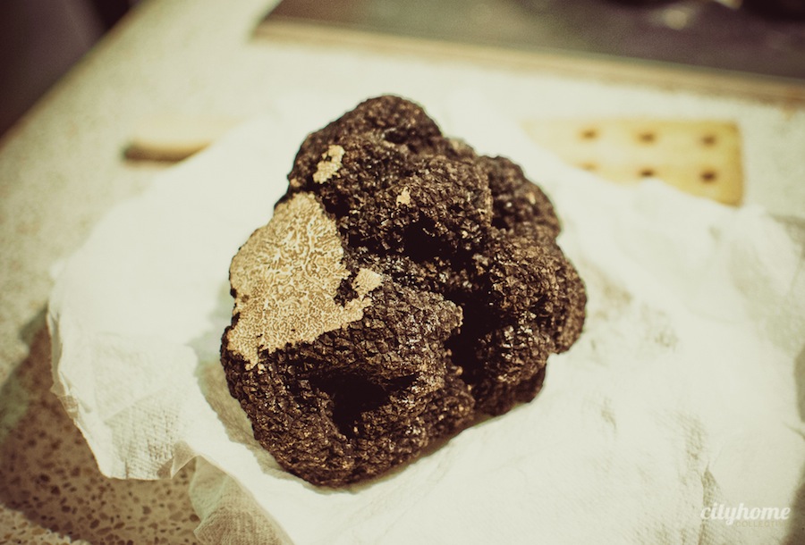 Salt Lake City Luxury Loft for Sale | Real Estate-10